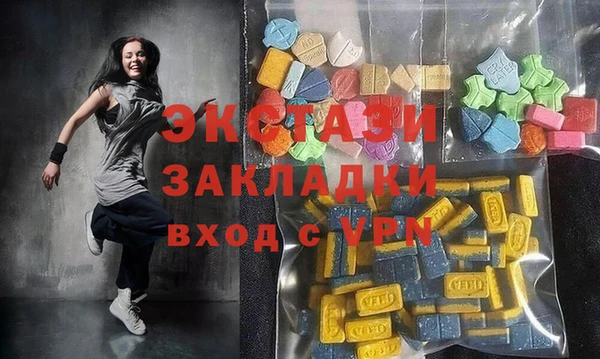 хмурый Арсеньев