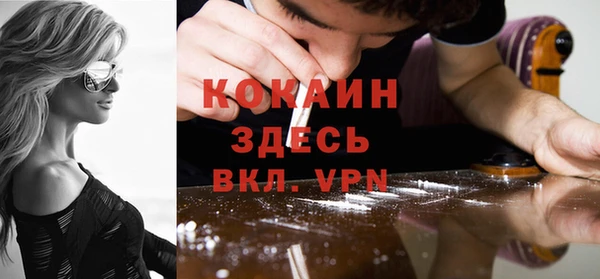 хмурый Арсеньев