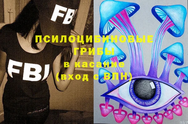 хмурый Арсеньев