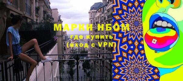 хмурый Арсеньев