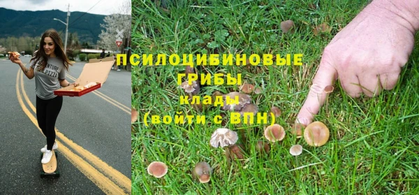 a pvp Армянск