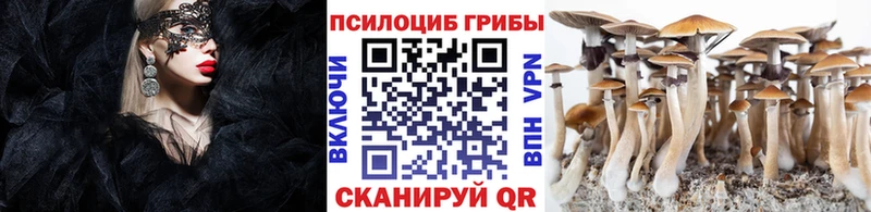 Псилоцибиновые грибы прущие грибы Талица