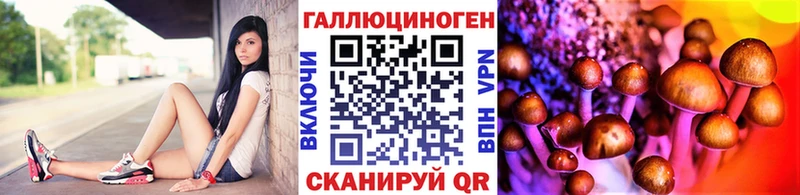 Галлюциногенные грибы GOLDEN TEACHER цены Талица